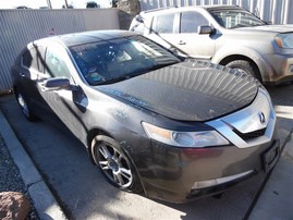 2009 ACURA TL GRAY 3.5 AT A21314